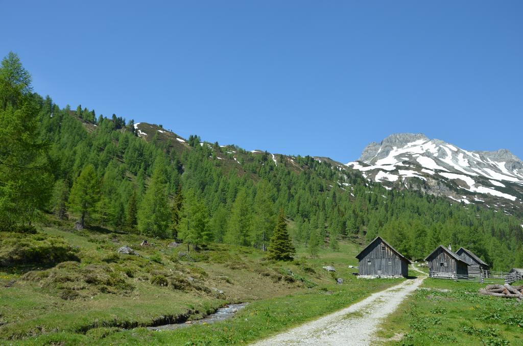 Urlaub Am Kraeutlhof In Mariapfarr公寓 客房 照片
